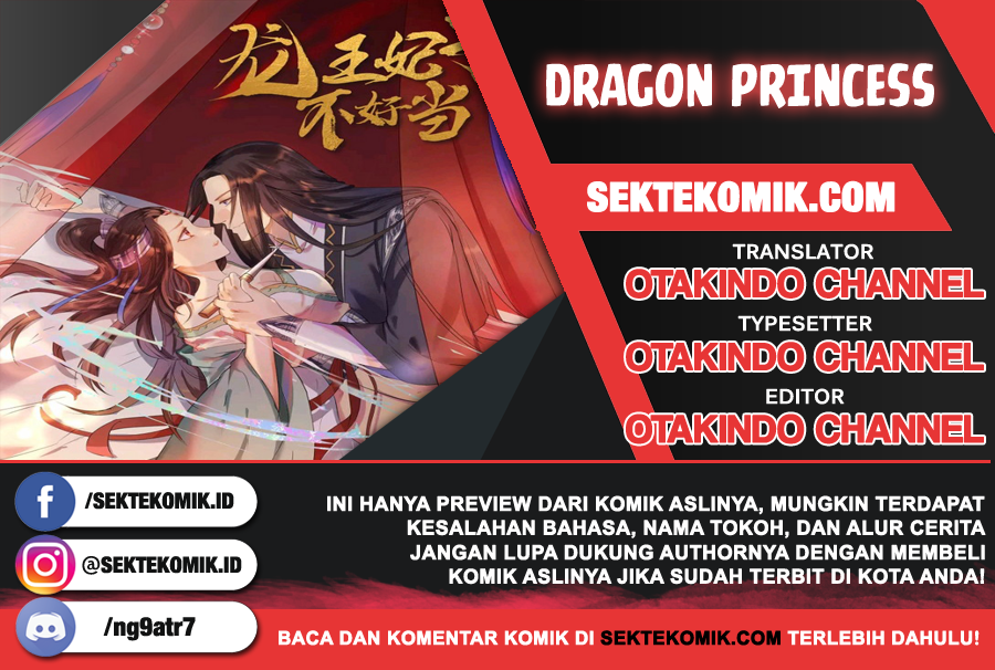 Dragon Princess: Chapter 14 - Page 1