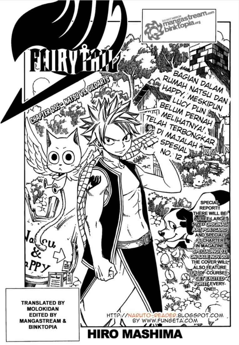 Fairy Tail: Chapter 205 - Page 1